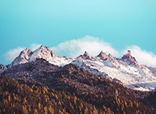 开云娱乐：让娱乐成为生活的风景线